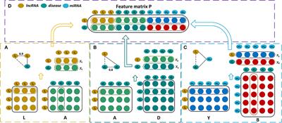 Dual Convolutional Neural Networks With Attention Mechanisms Based Method for Predicting Disease-Related lncRNA Genes
